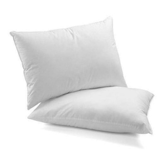 Kit 2 Travesseiro Pluma de Ganso Descanso Antiacaro 70x50cm